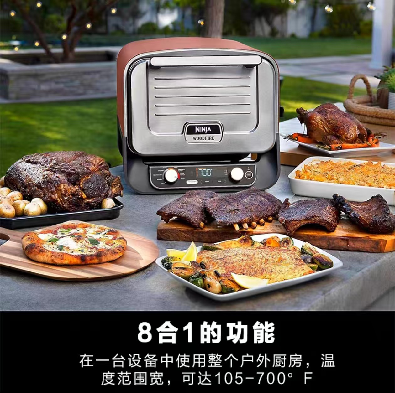 Forno Pizza da Esterno 2026 pe - Camping Cooking Ovens recensione e prezzo