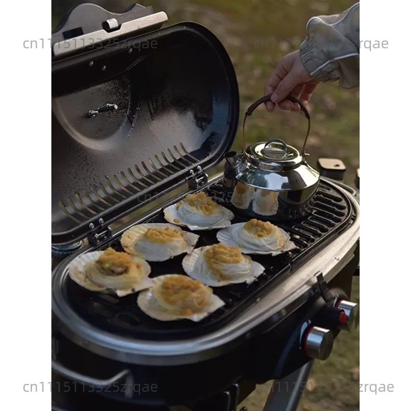 Fornello a Gas Portatile per I - Camping Cooking Range recensione e prezzo